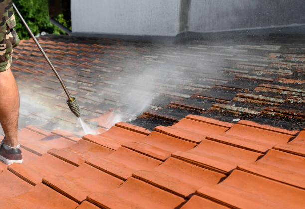 Best Pressure Washing Siding  in Smyrna, GA